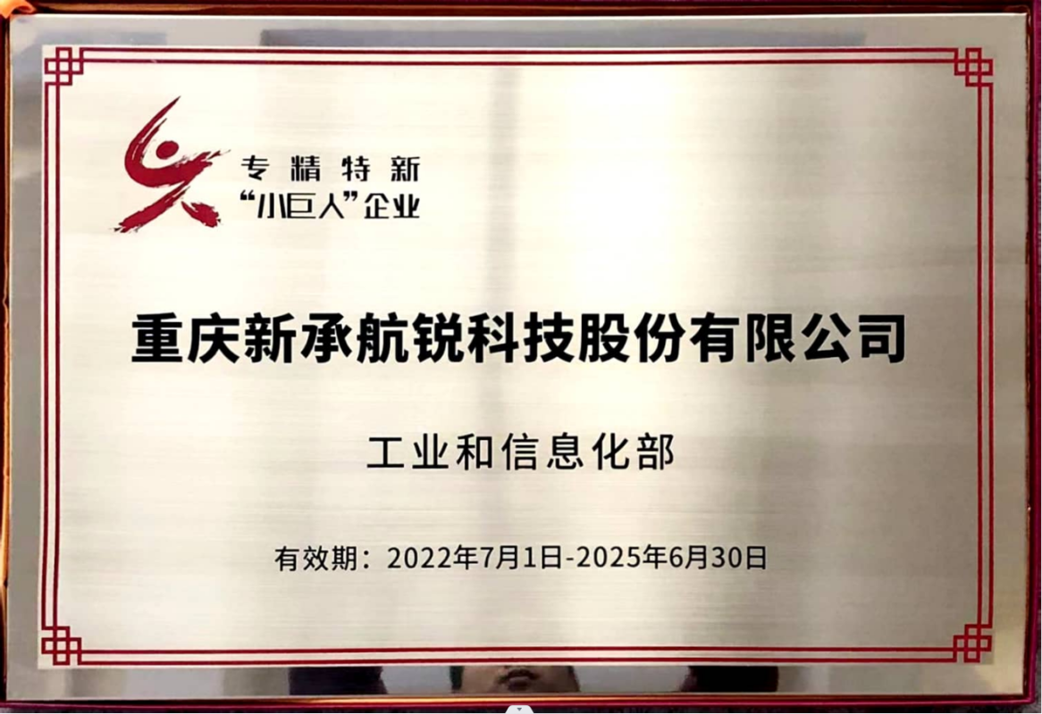 国家小巨人